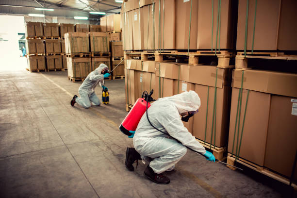 Best Cockroach Control Services  in Deer Park, IL