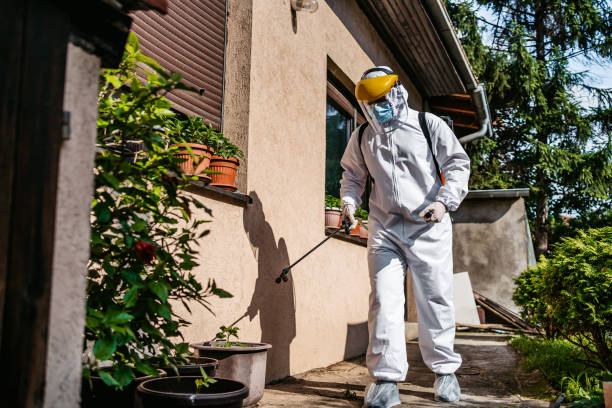 Best Residential Pest Control  in Deer Park, IL