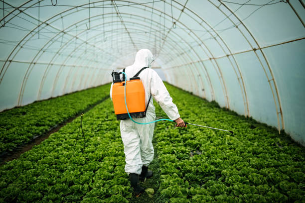 Best Insect Control  in Deer Park, IL