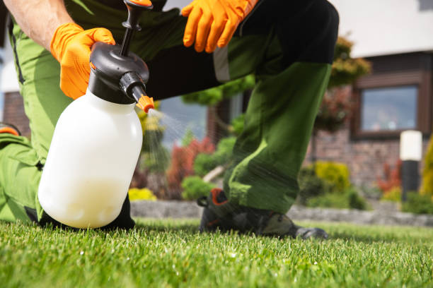 Best Best Pest Control Companies  in Deer Park, IL