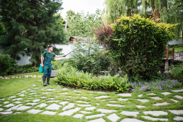 Trusted Deer Park, IL Pest Control Experts