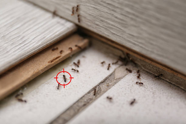 Best Wildlife Control Services  in Deer Park, IL