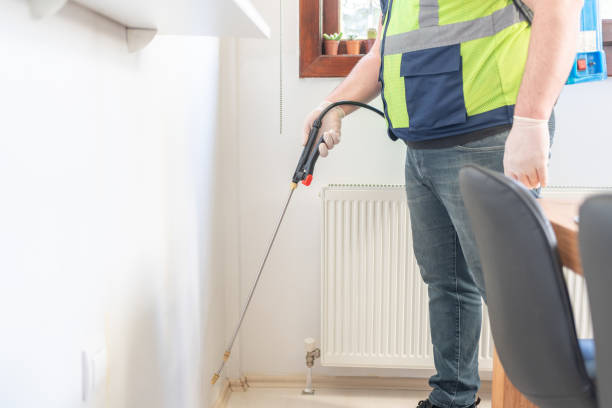 Best Ant Control Services  in Deer Park, IL