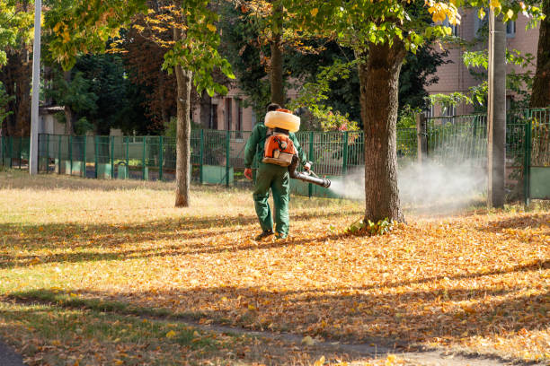 Best Flea Control Services  in Deer Park, IL