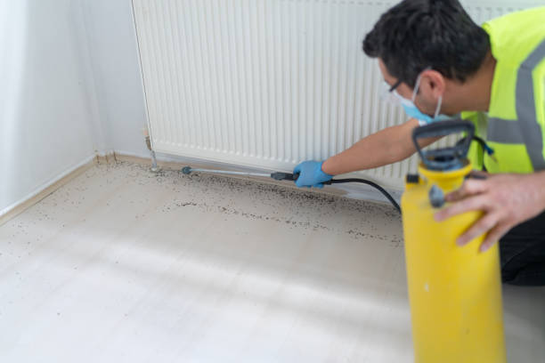 Best Affordable Pest Control Services  in Deer Park, IL
