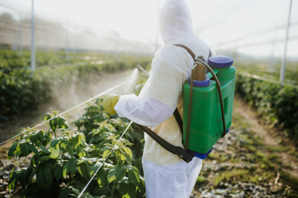 Best Affordable Pest Control Services  in Deer Park, IL